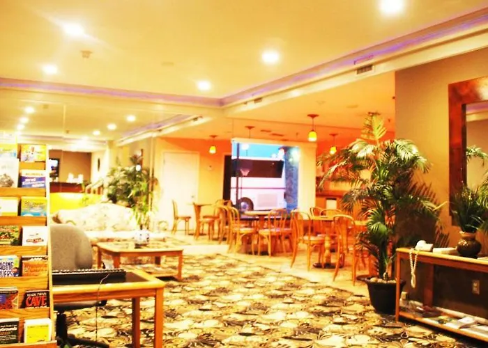 Homestyle And Hotel Springfield