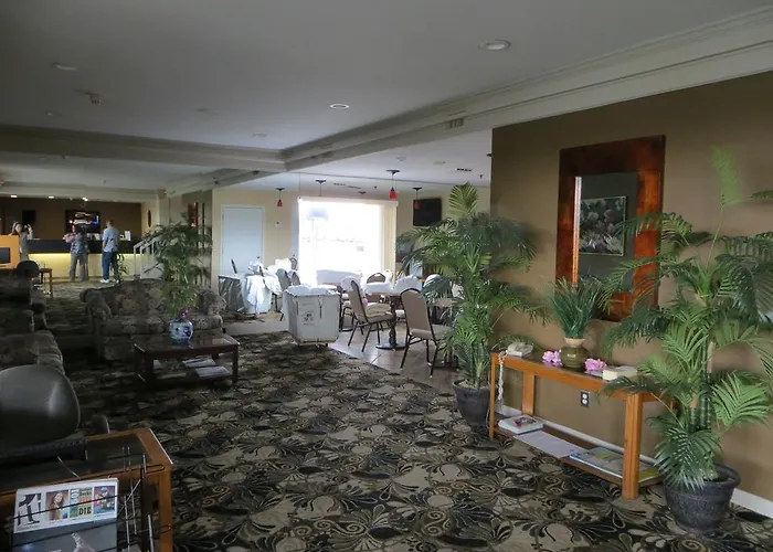 Hotel Homestyle And Springfield
